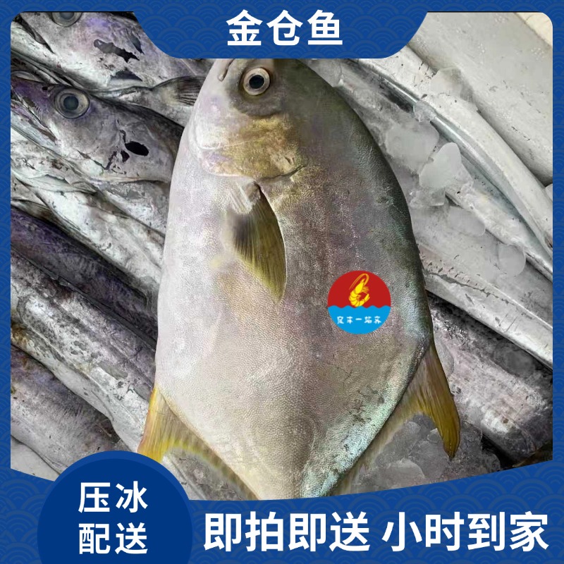 冰鲜金鲳鱼约700g/条  默认压冰发货  昆明同城小时到家，如需处理请备注