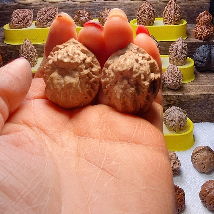 核桃5号车放漏漏漏漏