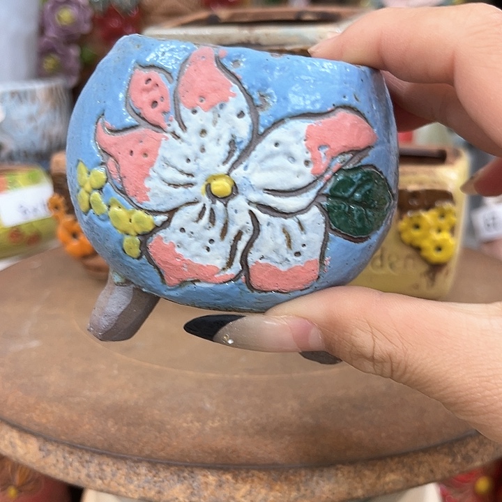 红陶粗陶多肉花盆中