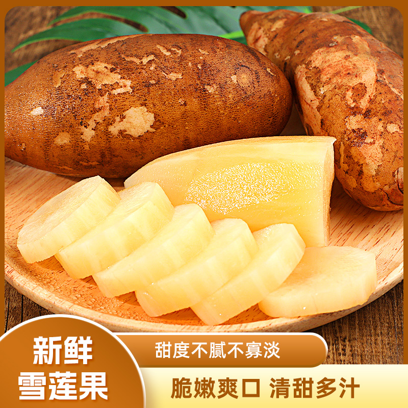 云南雪莲果5斤大果新鲜当季应季水果产地直发整箱包邮t