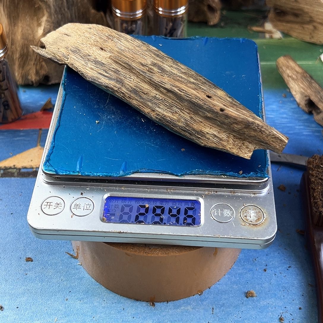 香料绿奇楠虫漏乌身圆叶29克