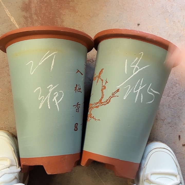 19号号……宜兴紫砂花盆特惠