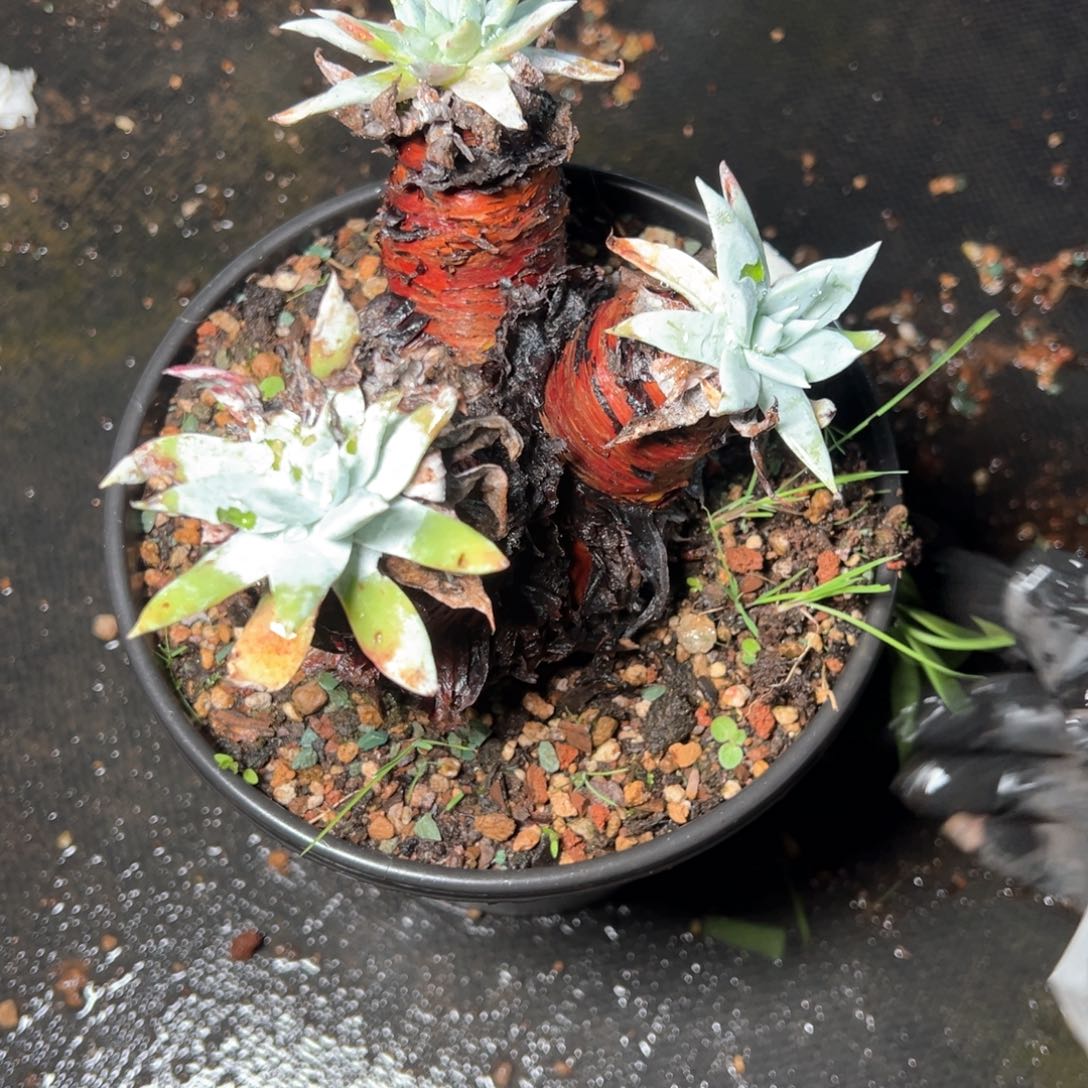 6285哈哈哈哈哈哈哈哈哈