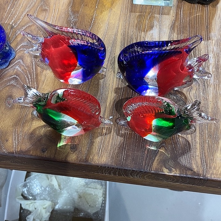 琉璃鱼眼多4只949799799797