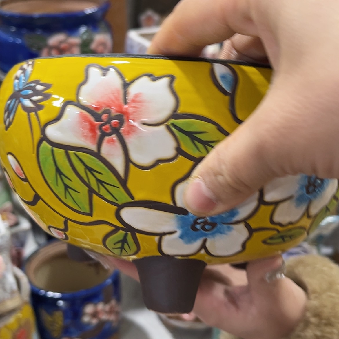 【闪购商品】红陶福利