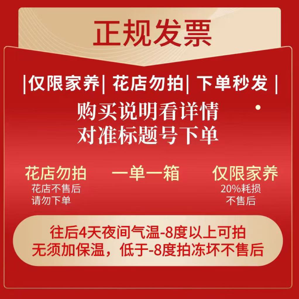 123号发一箱❤←对准号下单鲜花❤快递揽收后不支持退款