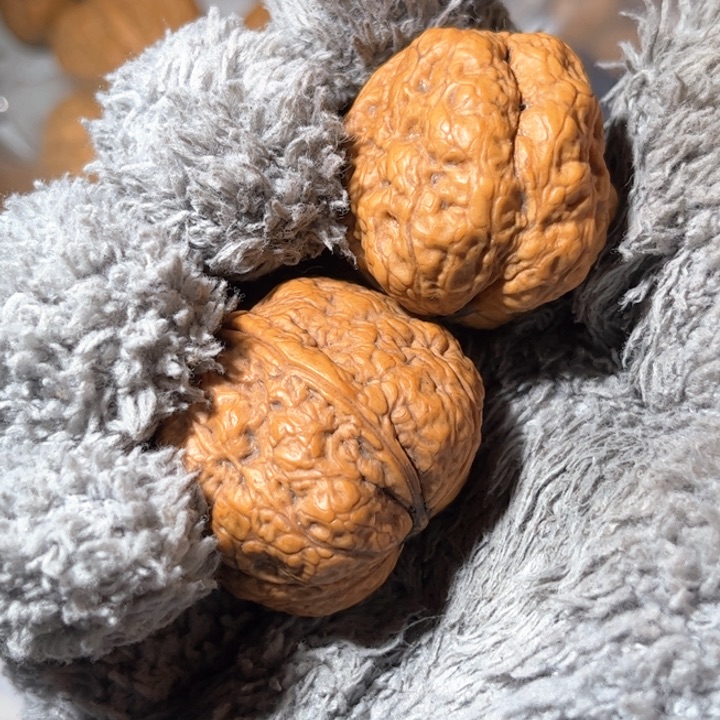 文玩核桃吊坠滇西铁核桃13