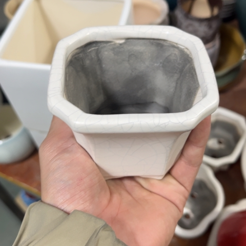 ［所有订单凑满15包邮］8×7