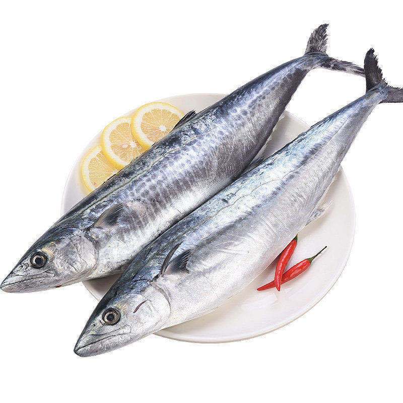 新鲜冷冻鲐鲅鱼青条鱼青花鱼马鲛鱼青占鱼深海水产