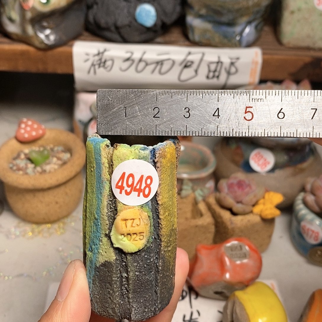 红陶拍5送一个小