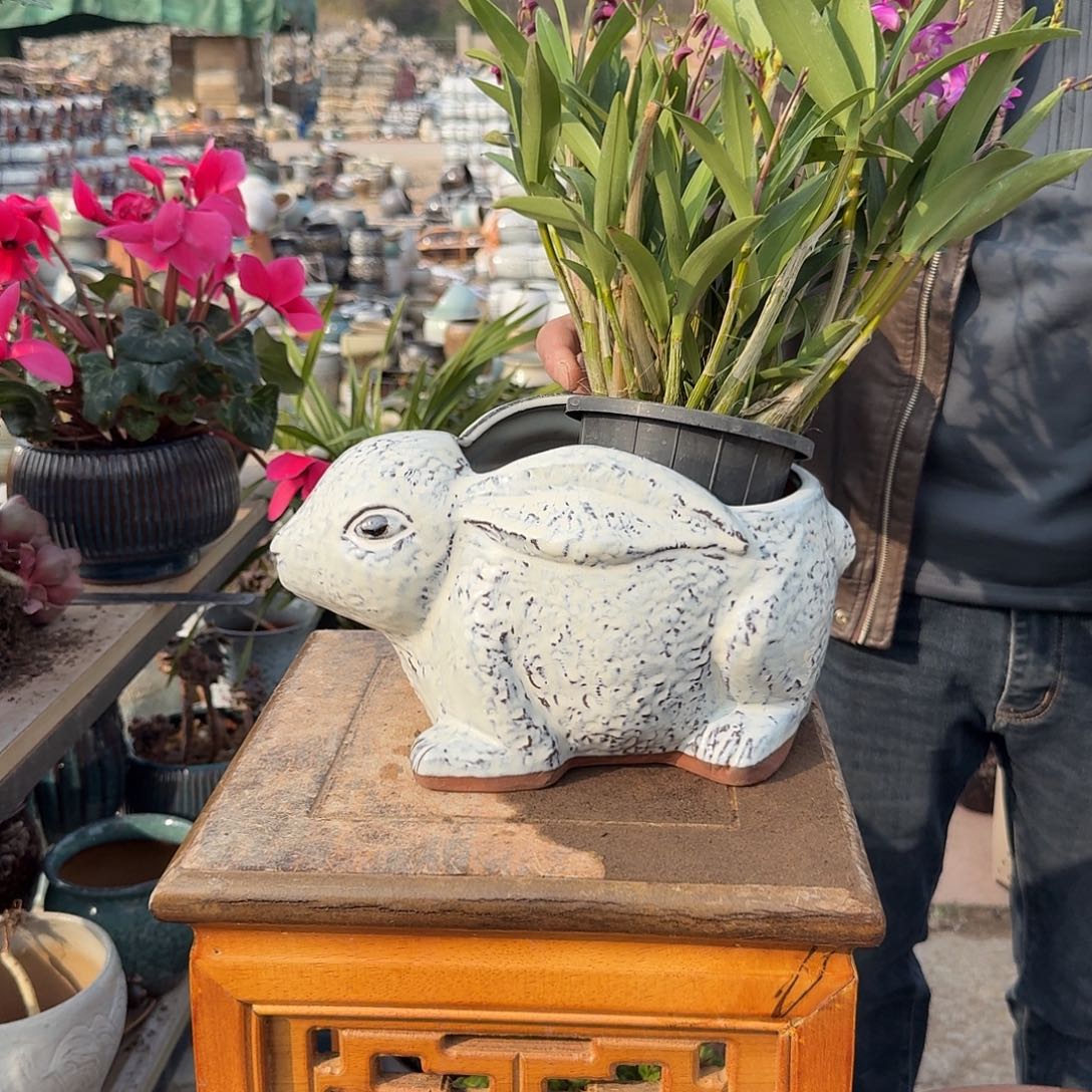 紫砂花盆兔子白色一个一个