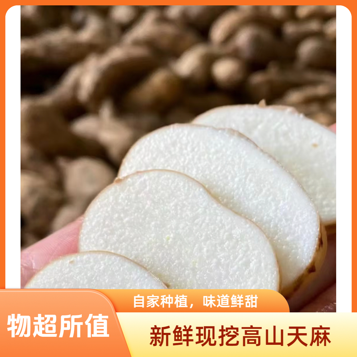 自家种植的高山新鲜天麻现挖现发自产自销可煲汤煮粥滋补食材