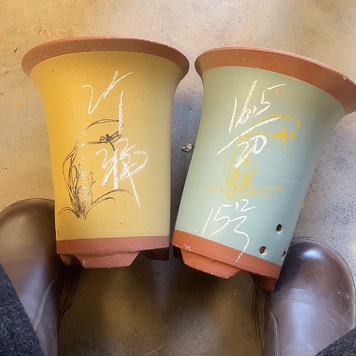 15号，宜兴紫砂花盆特惠