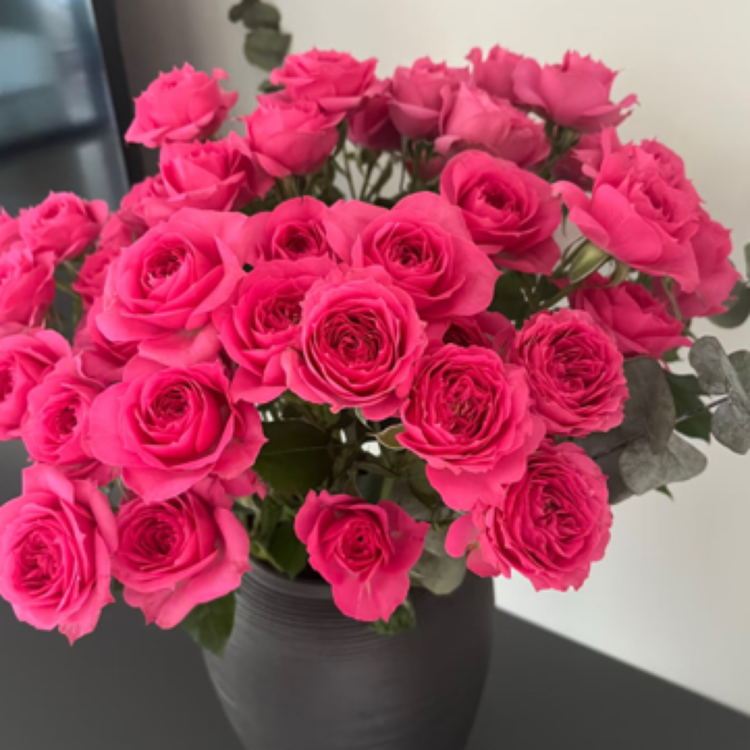 苏菲宝贝  2单冷链包邮