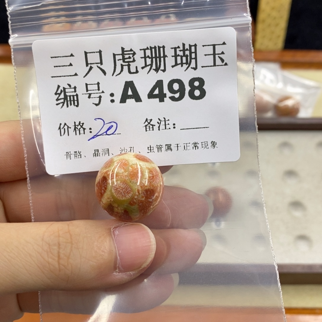 硅化珊瑚（珊瑚玉）1未镶嵌@****?