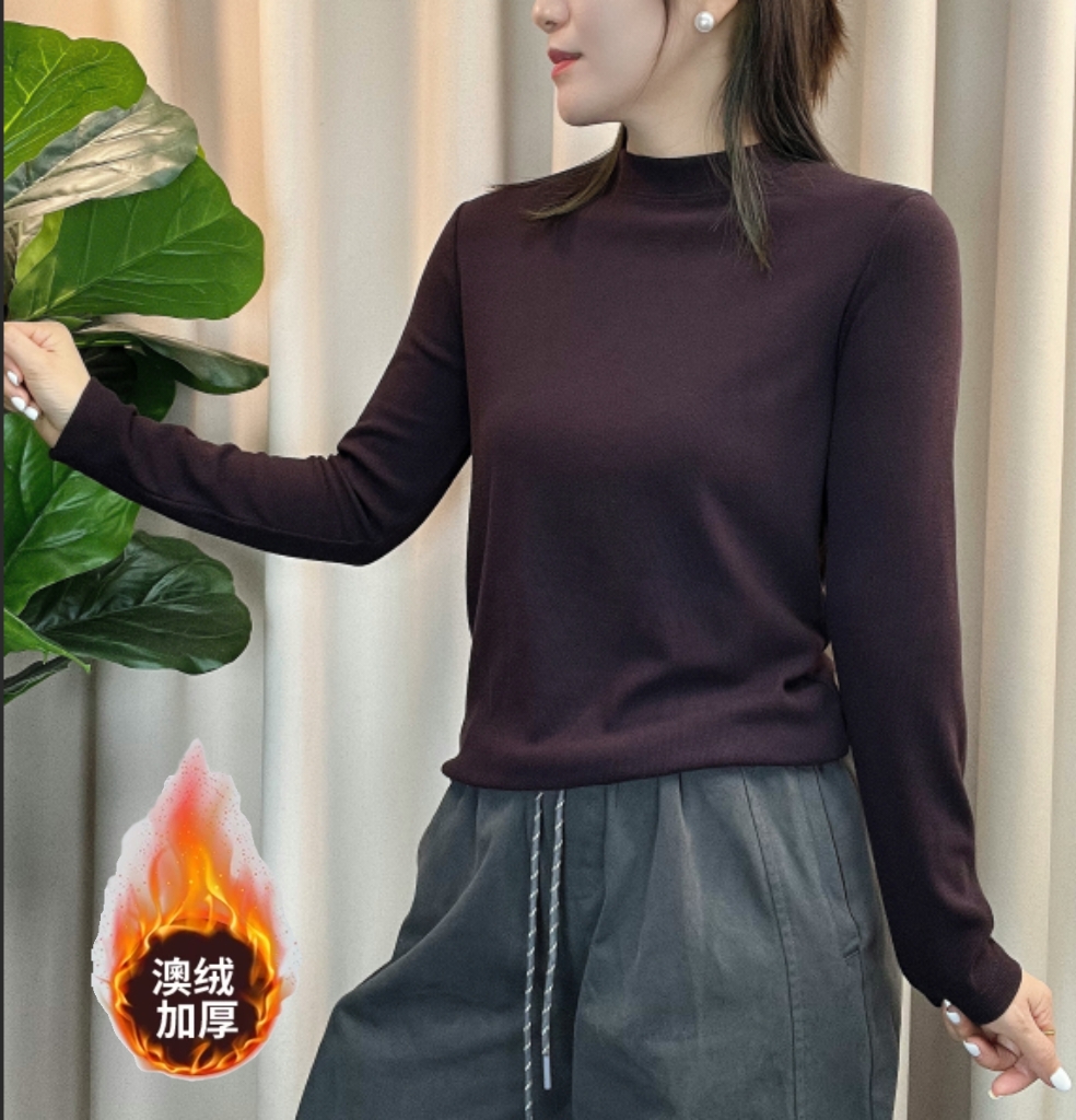 【双面慕斯绒】秋冬巨保暖 ~ 澳绒软糯亲肤感小立领新款保暖百搭T恤