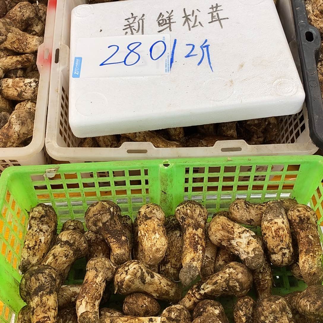 福利款中国大陆280