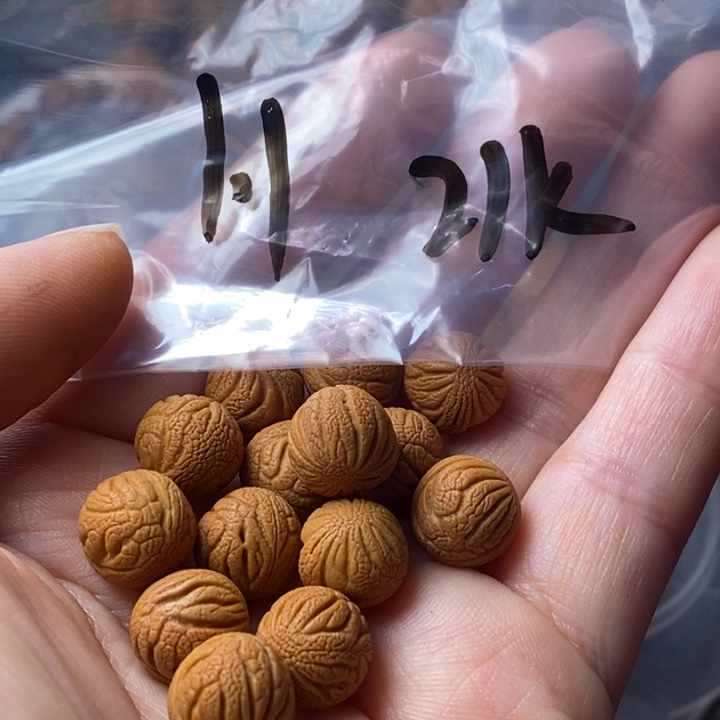 手串文玩核桃秦岭野生龙纹桃核11