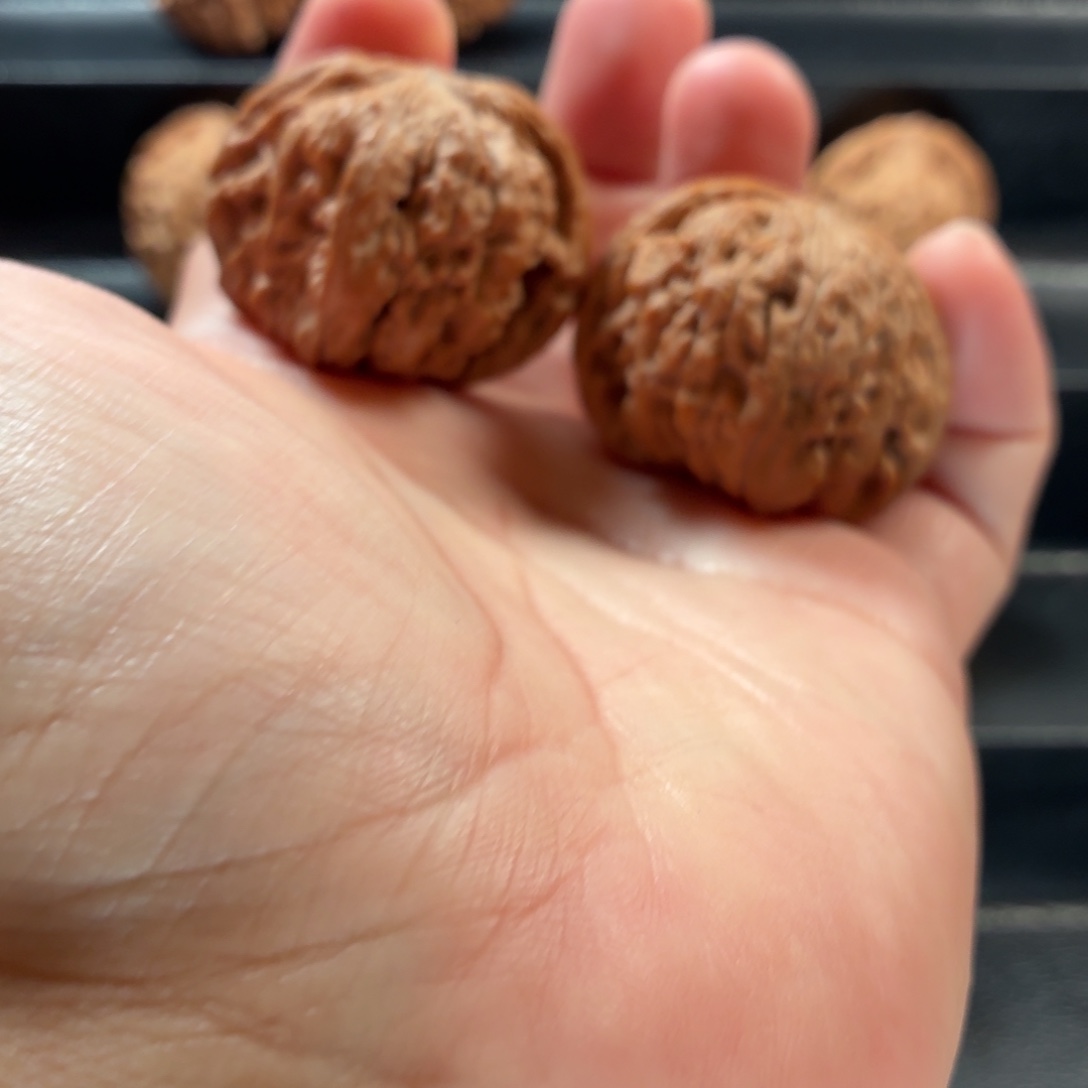 桃核把件蓟县山地血磨42全品