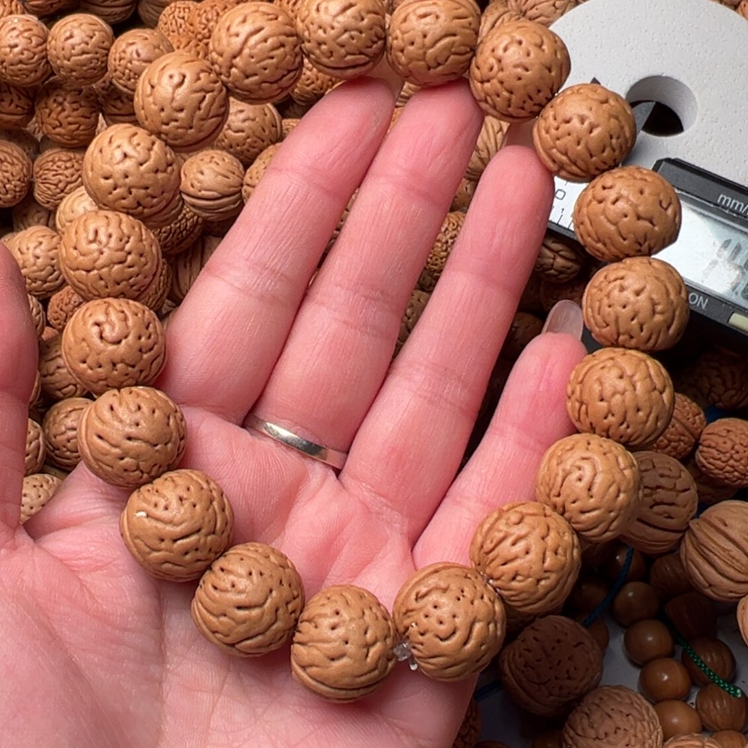 16尺寸金丹肥脐桃核