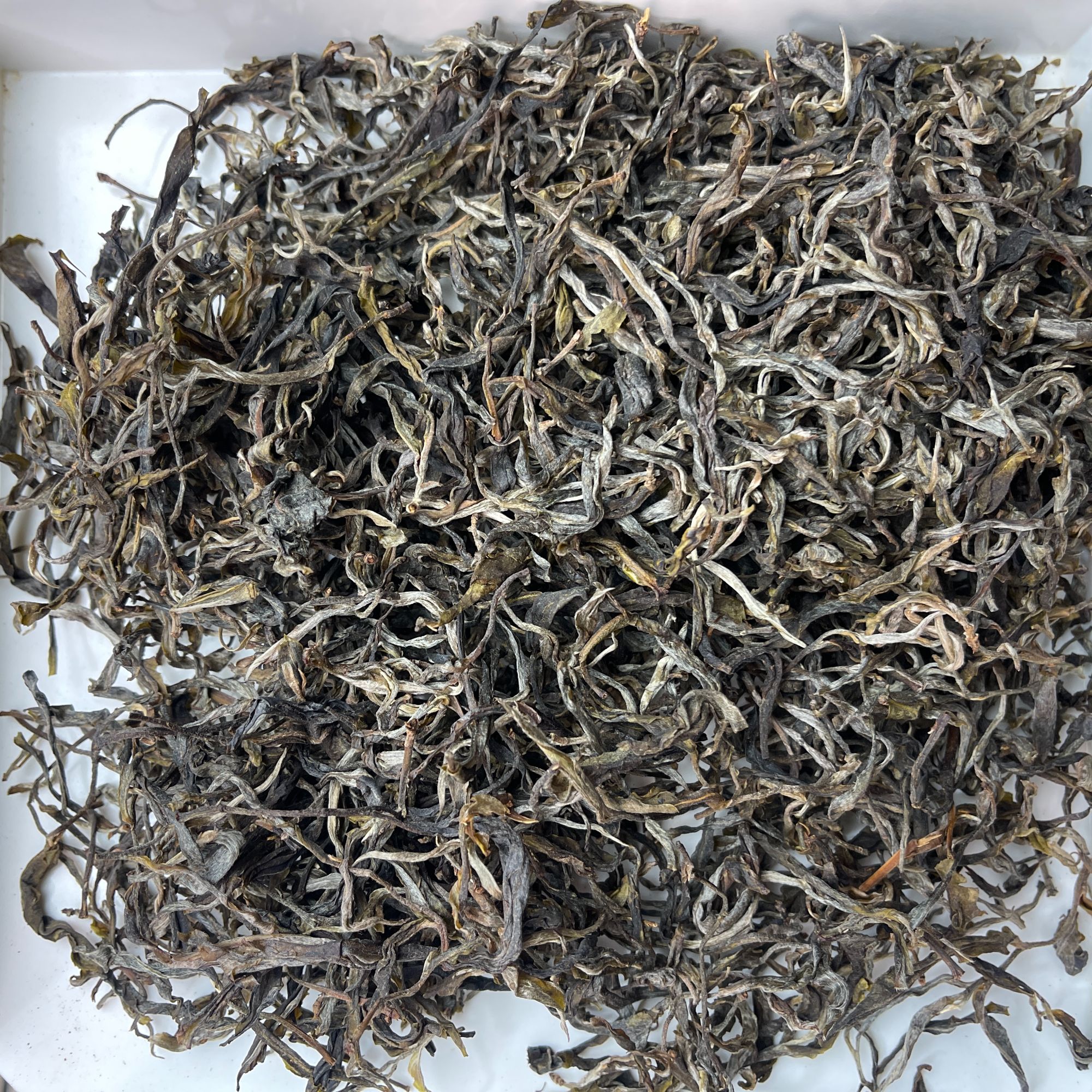 7月7日 25年古漫潵混采 普洱茶 生茶散茶 A064号