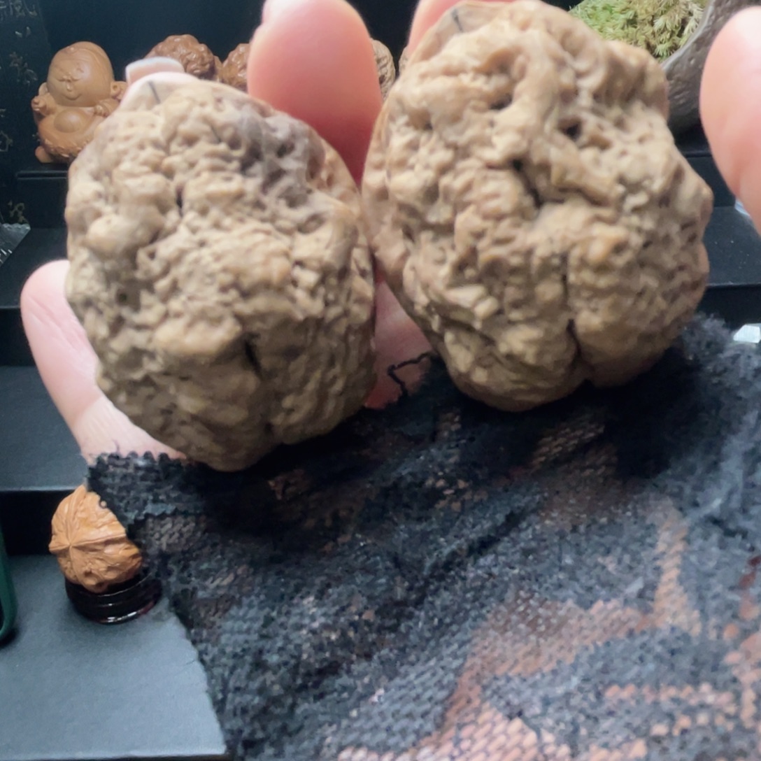 鬼蛊…………福利待遇