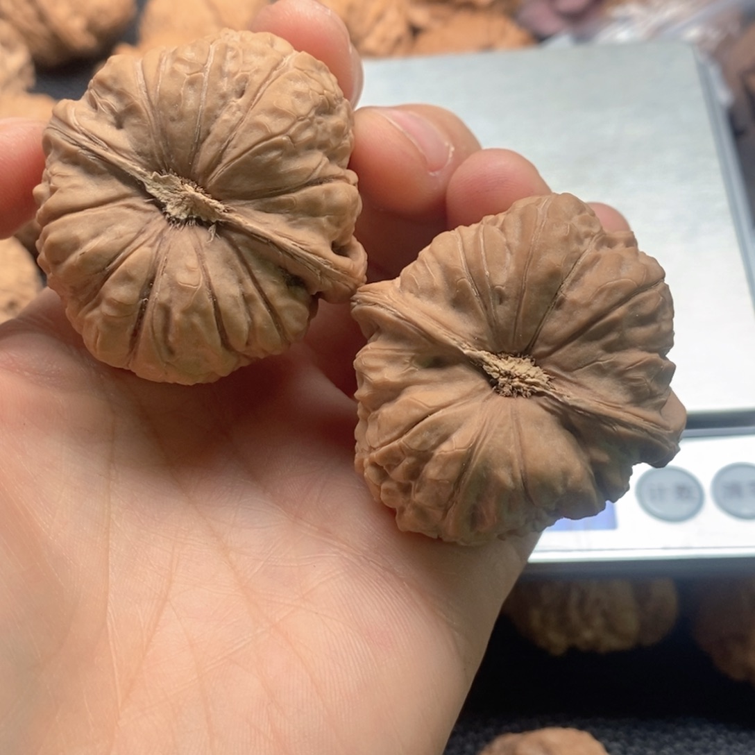 暴***子木质类全品南瓜11111