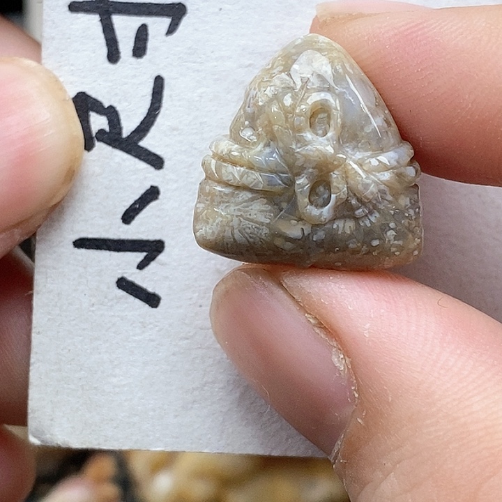 颈饰未镶嵌硅化珊瑚（珊瑚玉）