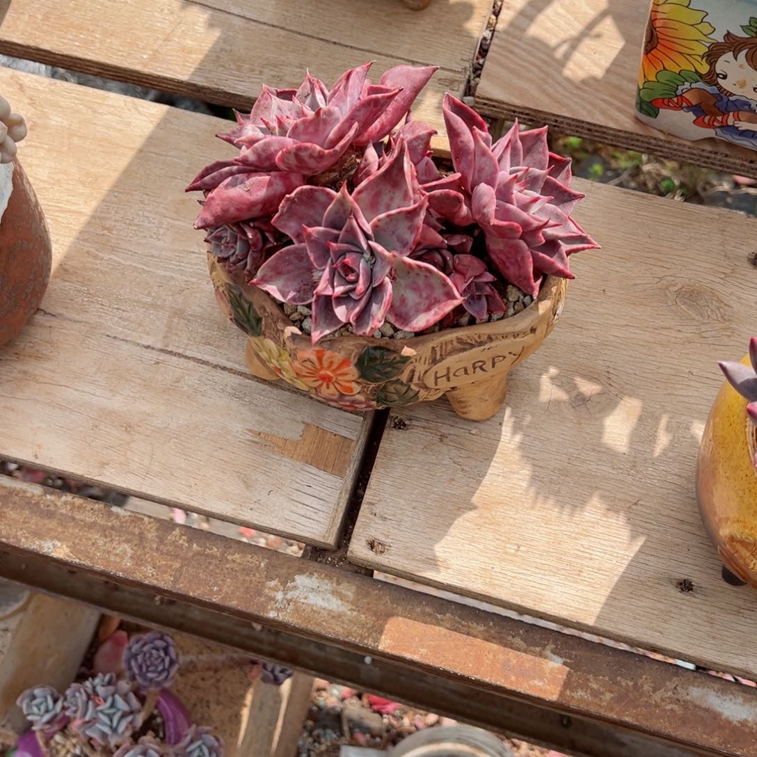 在家里面＇，你的＇你的我都