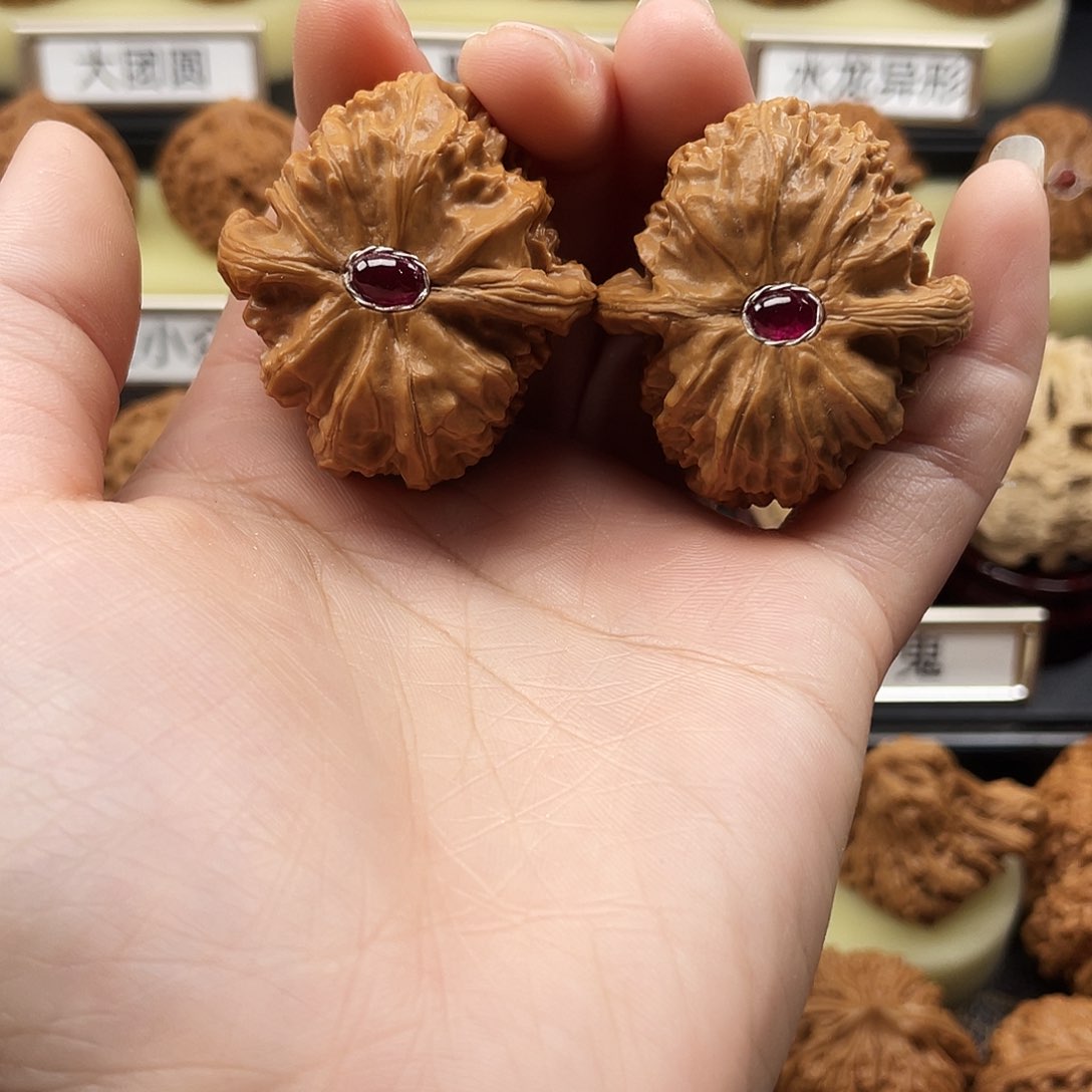 文玩核桃把件白狮子38尺325