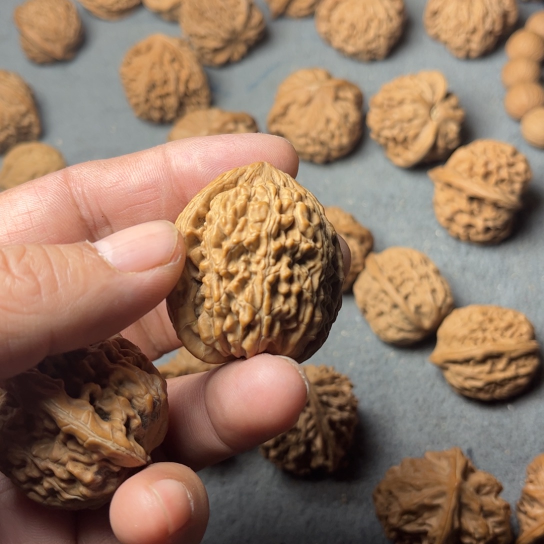 z***z文玩核桃吊坠蚂蚁王