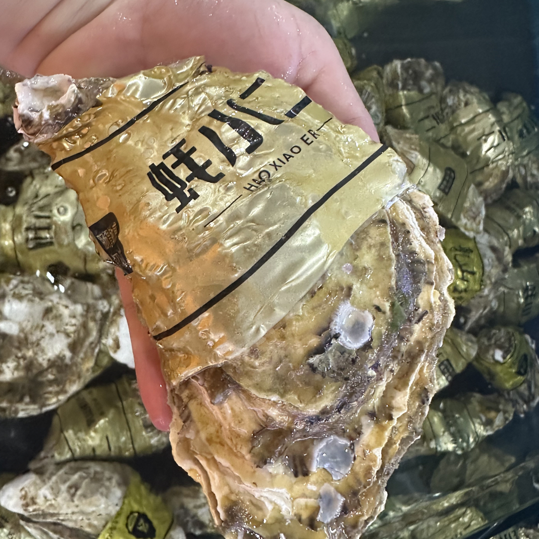 鲜活乳山肥蚝至尊约350g/只