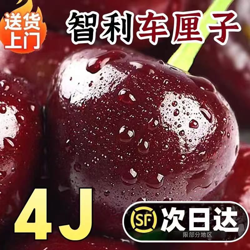 【今天拍明天到】智利进口桑提娜2-4JD车厘子海运顺丰京东2500g内附果径卡桑提娜樱桃智利共和国