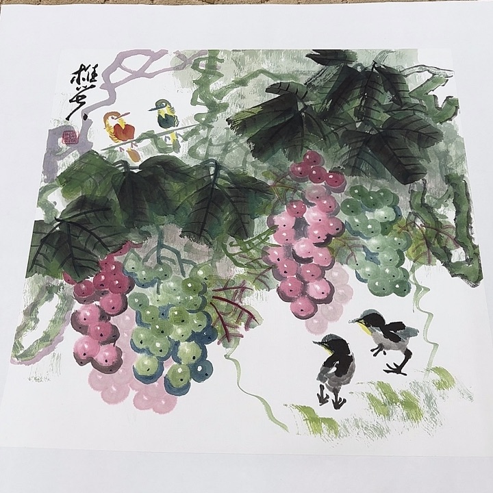 国画花鸟等多种鸟类的栖息50.50