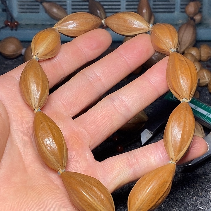 橄榄核手串1.5四花21号