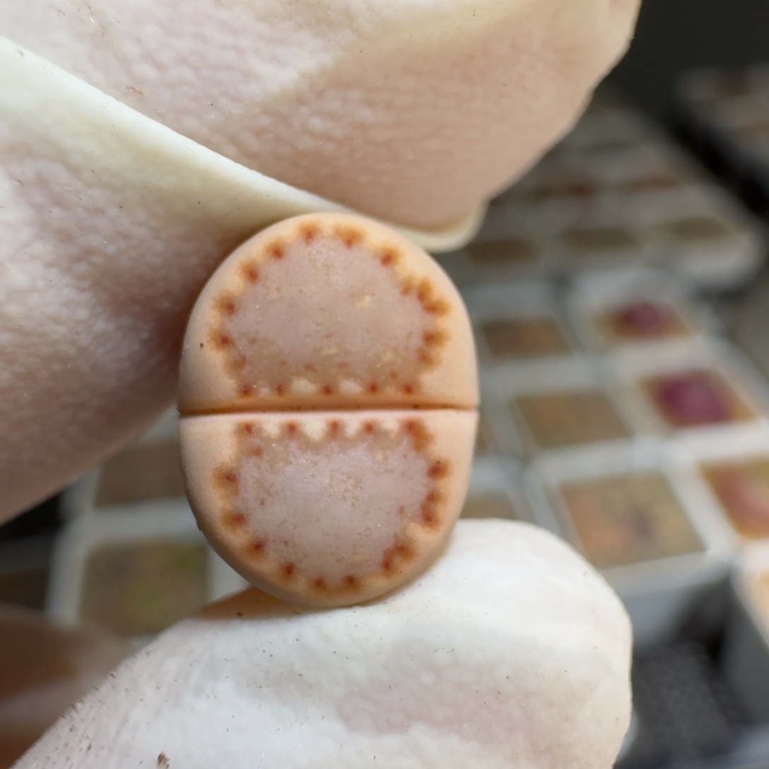 0203-55饼干编号k