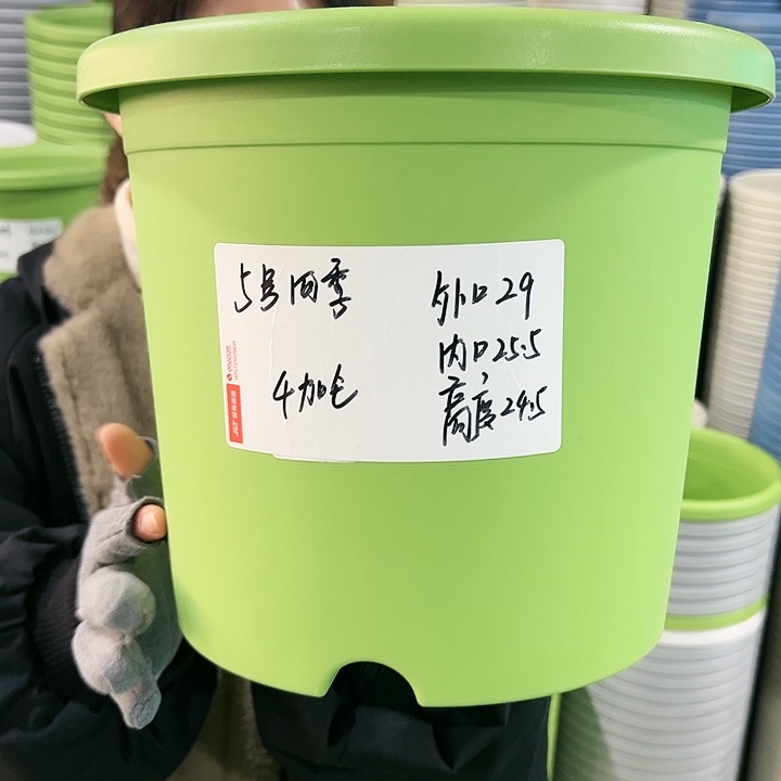 特价5号四季口29高24.5灰色5个无托