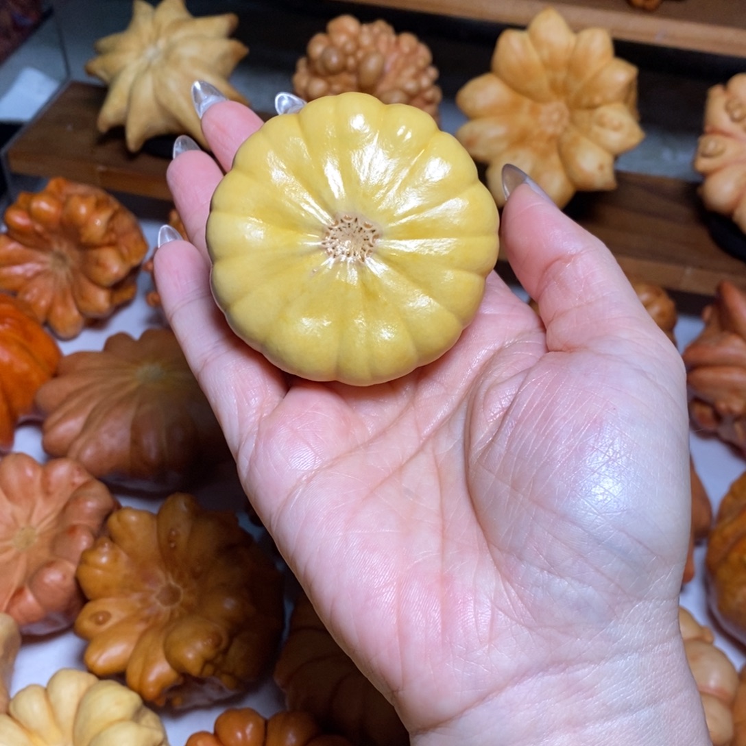 小雏菊放漏不退不退