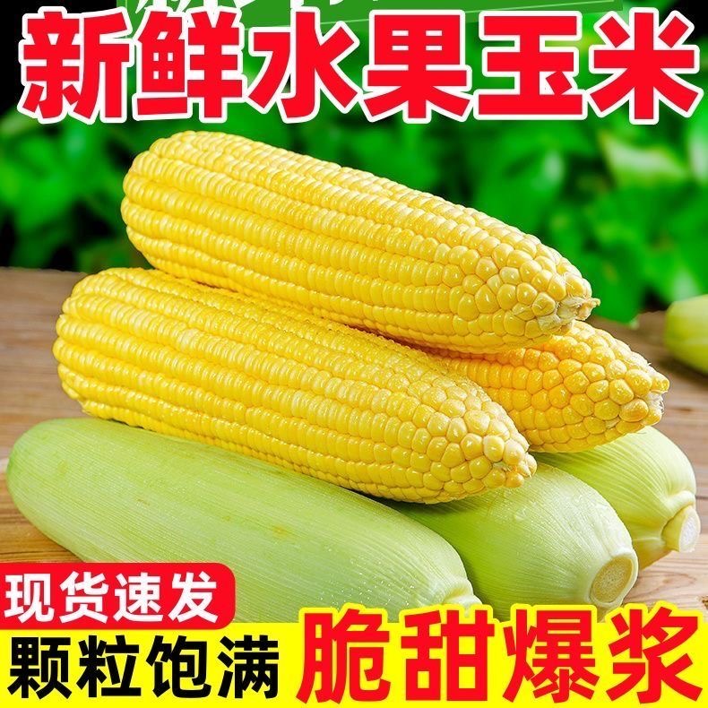 现摘黄金水果甜玉米甜糯新鲜超甜可生吃爆浆黄金水果玉米带皮整箱