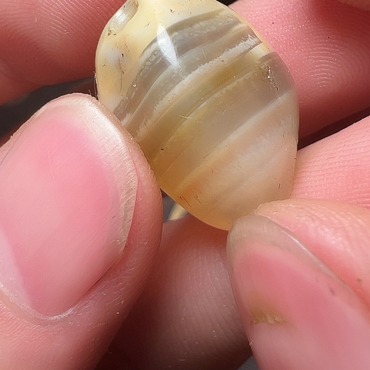 我们都是在这里看到的哈