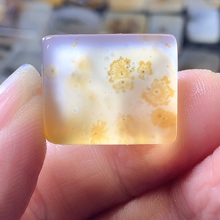 未镶嵌颈饰玛瑙/玉髓