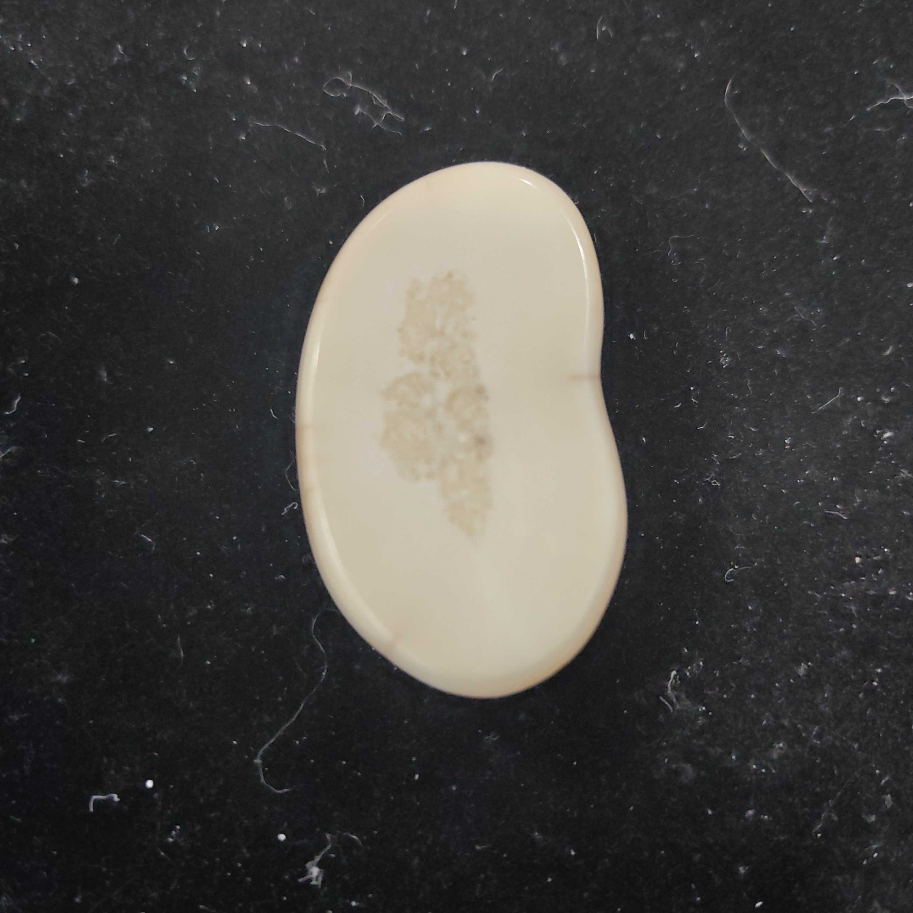 猛犸猛犸虬饼子WT598