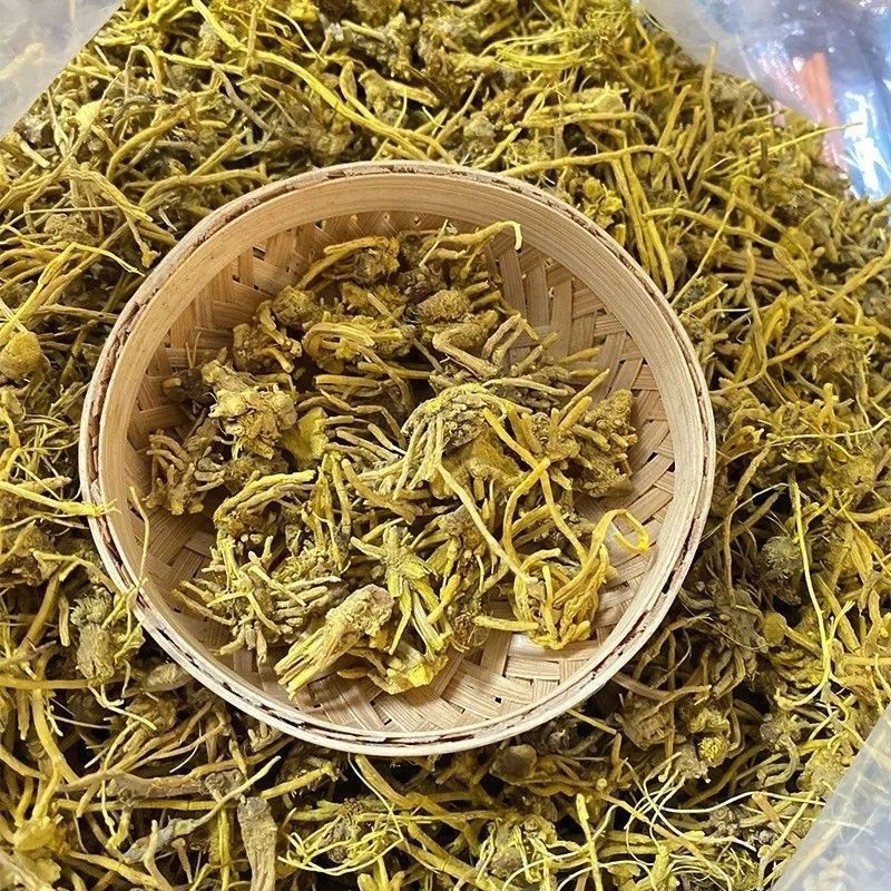 【龙须石斛】G 云南野生龙须石斛 云南山货下山