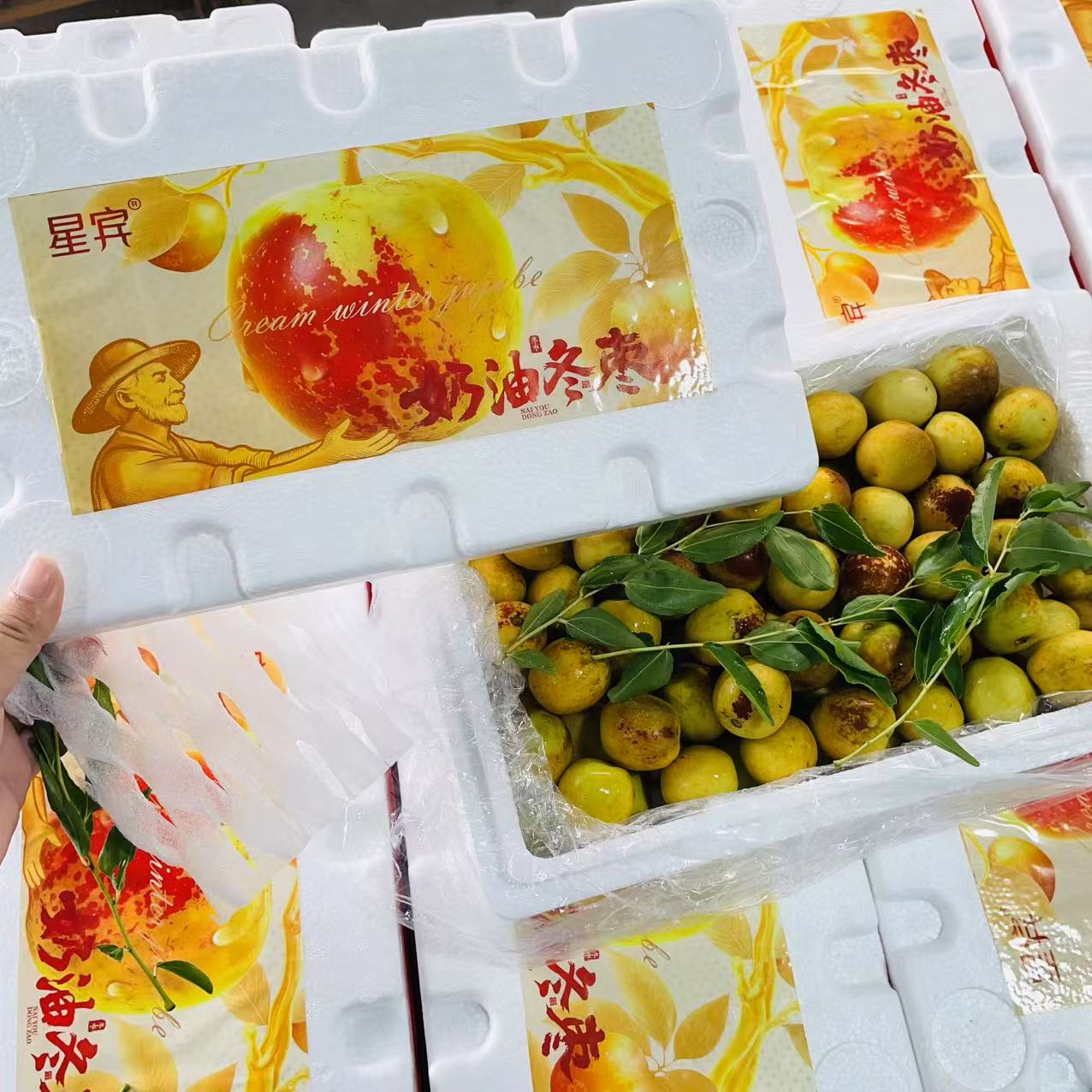 奶油冬枣  脆甜爽口  净重2.6斤【只发河南省】