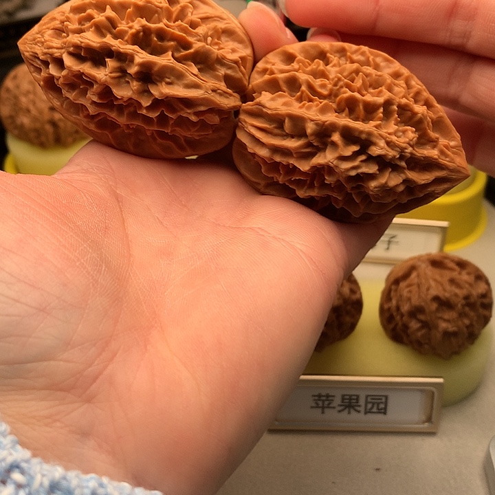 吊坠文玩核桃42尺金钱鼠700号