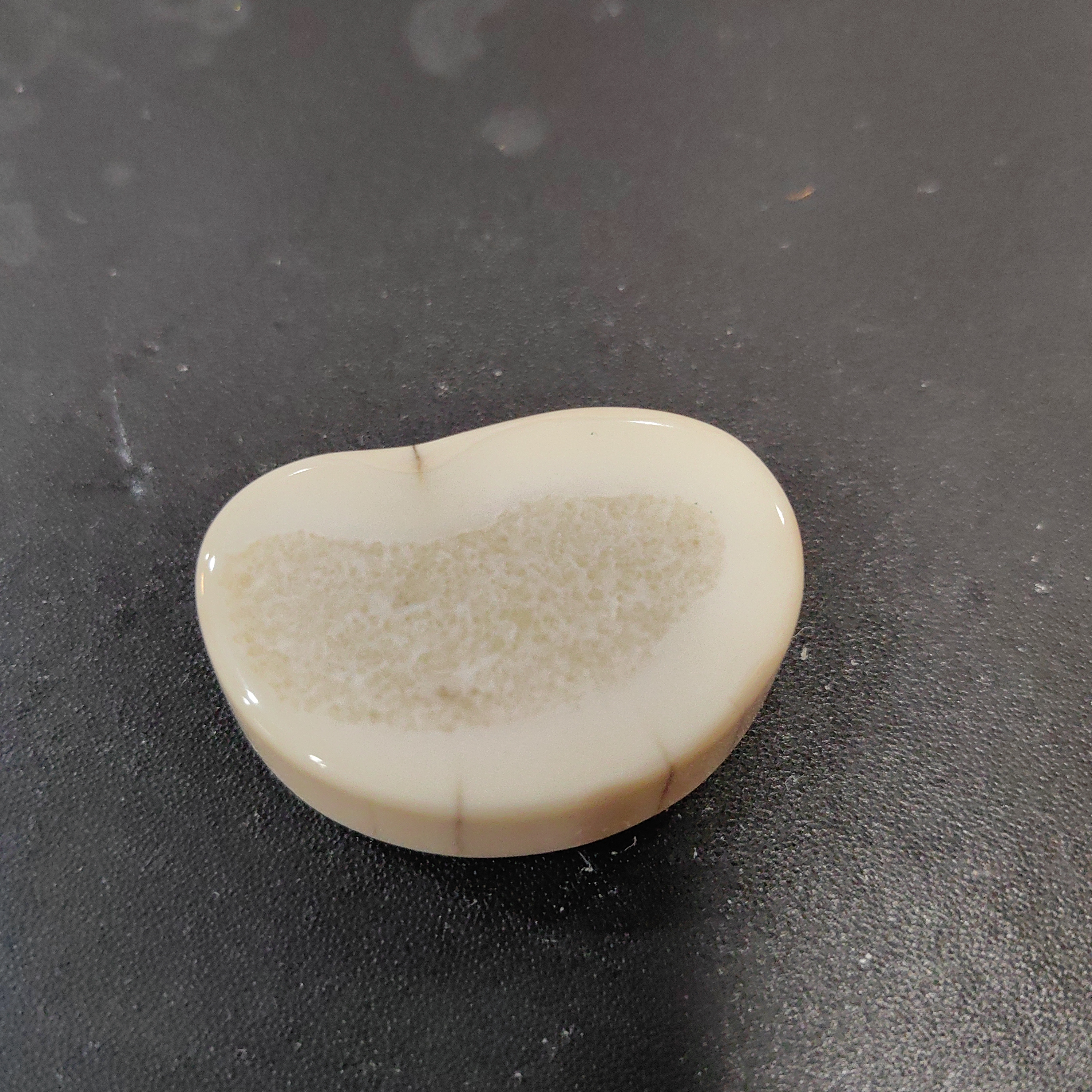 猛犸猛犸虬饼子TT1525