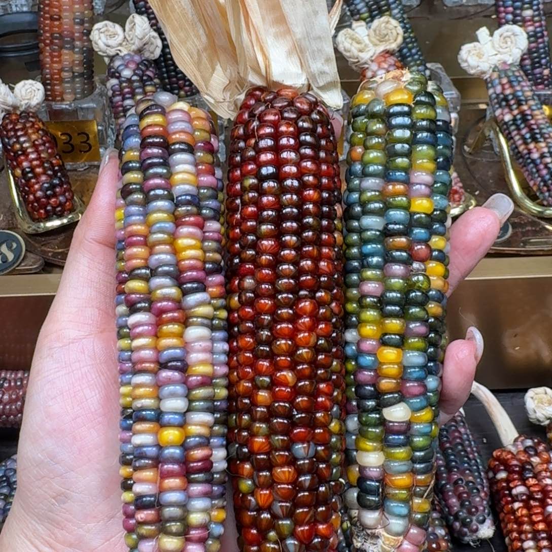 柏香籽/百香籽吊坠汀**杯