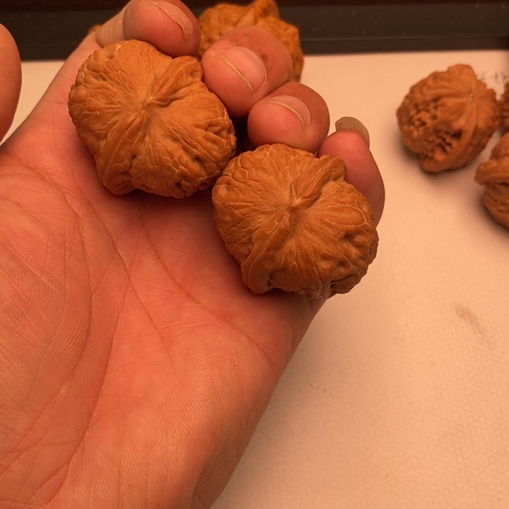 艾***神元宝狮子头39尺寸