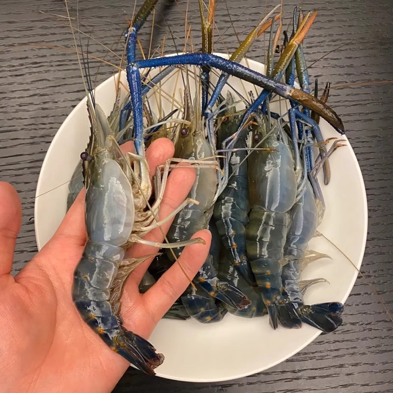 生冻罗氏虾大头虾罗氏沼虾河虾淡水虾非鲜活
