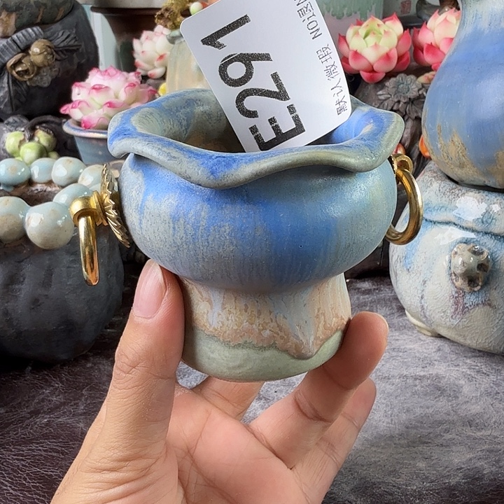 重庆小燕子欢迎大家291